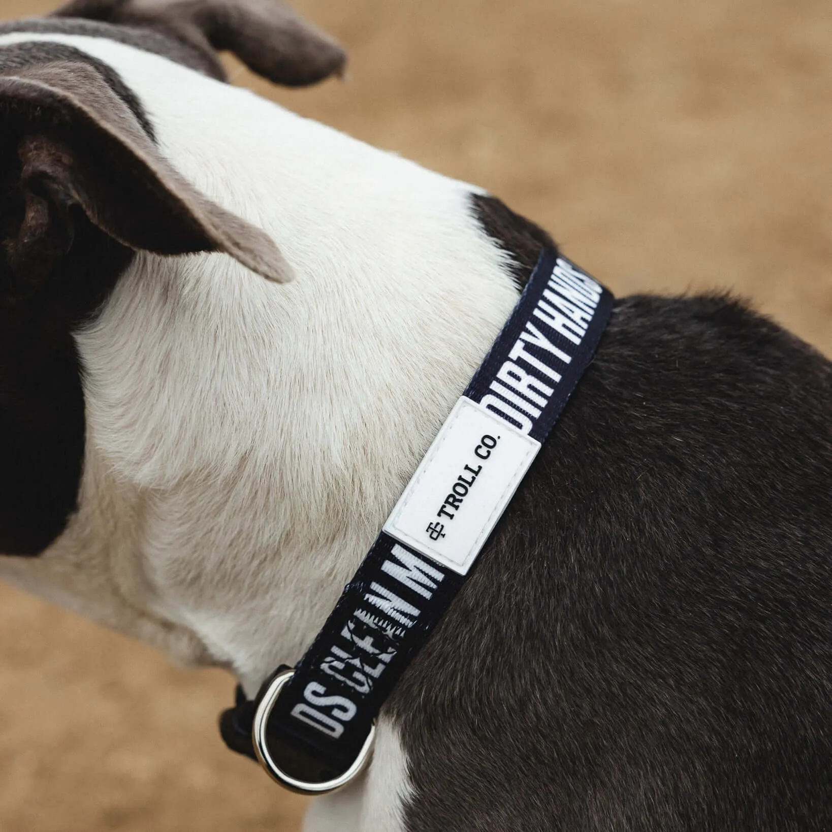 DHCM Heavy Duty Dog Collar