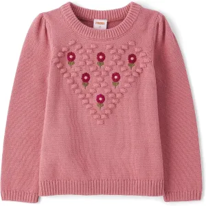 Gymboree Girls' and Toddler Long Sleeve Embroidered Crew Neck Pullover Sweater