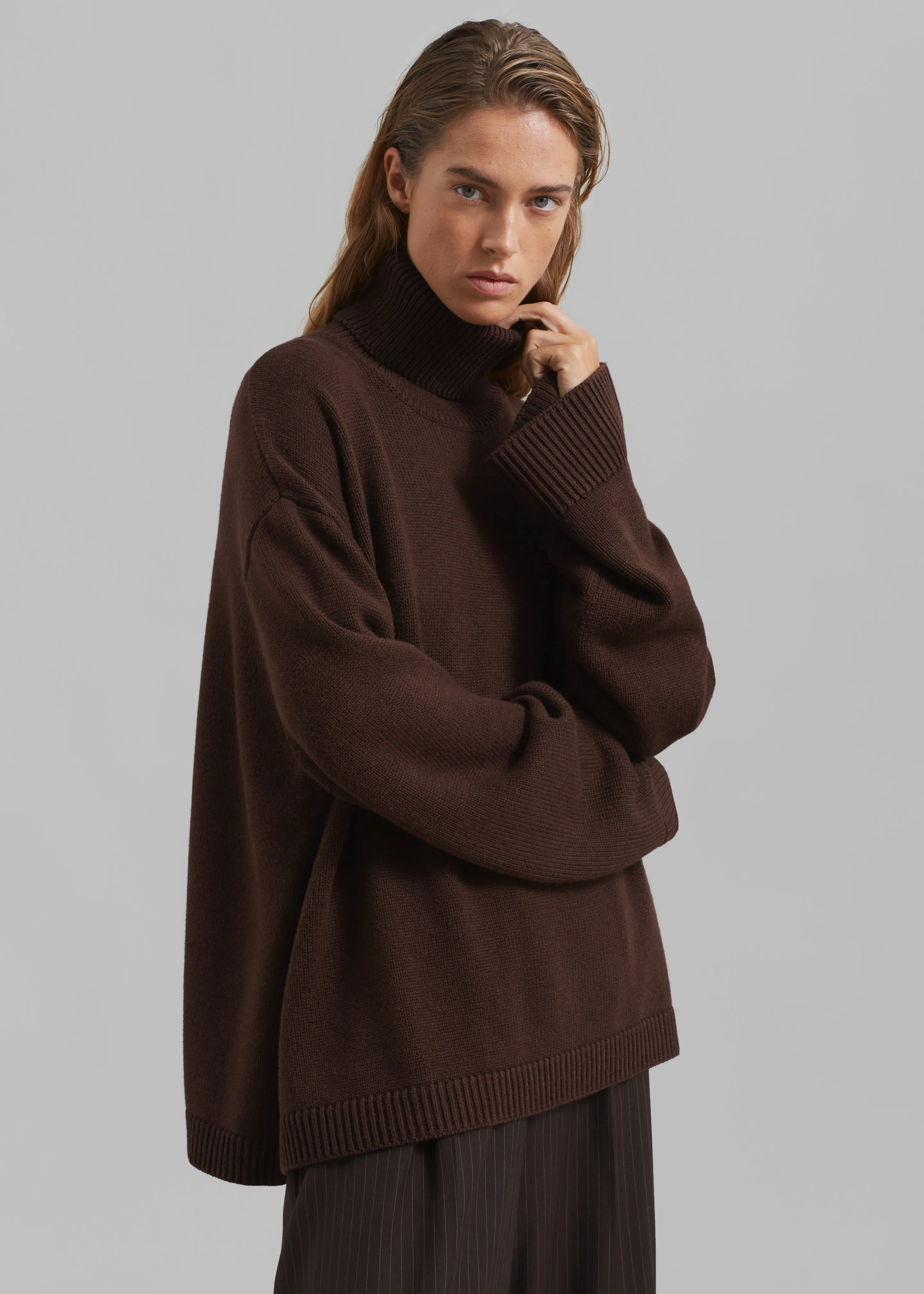 Rhea Trapeze Turtleneck - Brown